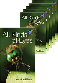 All Kinds of Eyes: Title Set