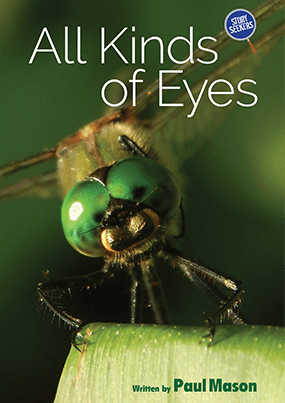 All Kinds of Eyes
