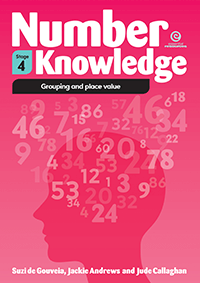Number Knowledge: Grouping and place value (Stage 4)