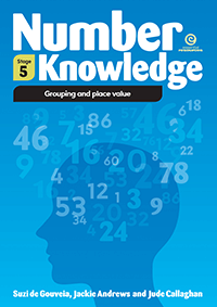 Number Knowledge:Grouping and place value (Stage 5)